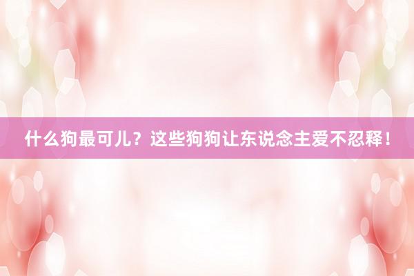 什么狗最可儿？这些狗狗让东说念主爱不忍释！